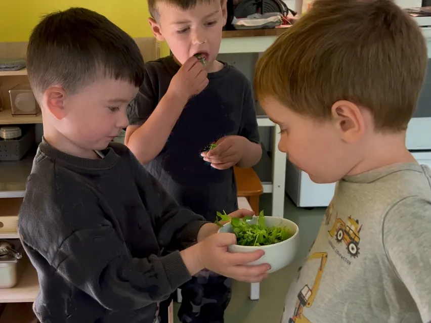 A boy shares a bowl of microgreens