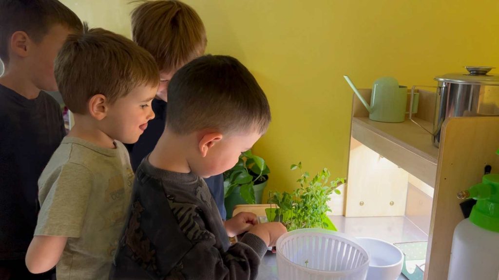 Three children work with microgreens at the Harvesting Cabinet