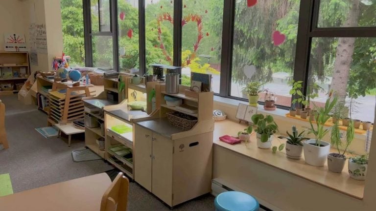 A Montessori classroom with plants, cabinet and a window looking out at trees.