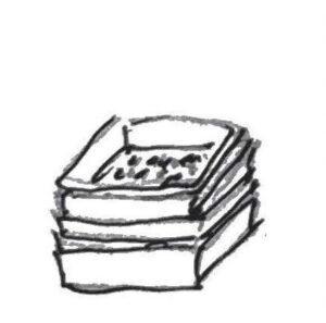 Tray with drain holes.